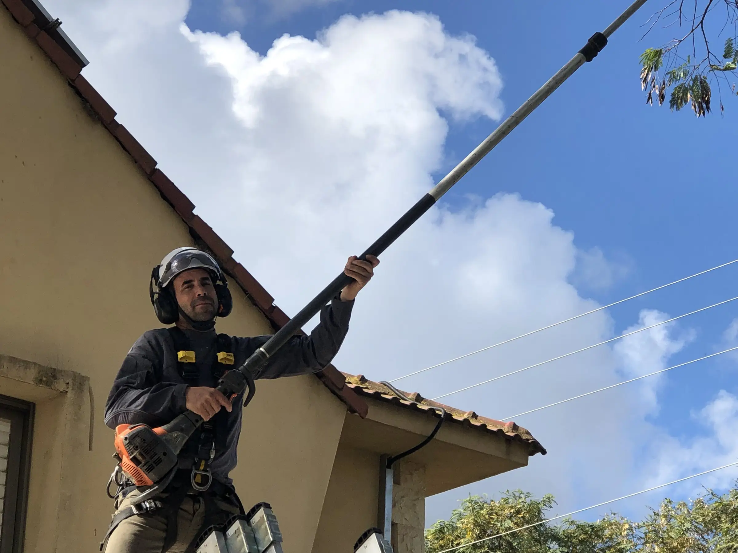 גיזום עץ בגובה עם מוט גיזום, צמוד לגג רעפים של בית